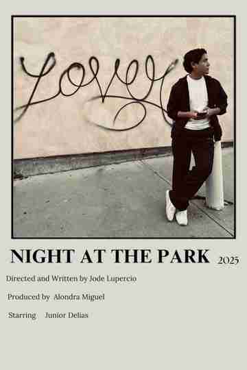 Night at the Park Poster