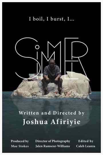 SIMMER Poster