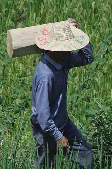 The Axis of Big Data Poster