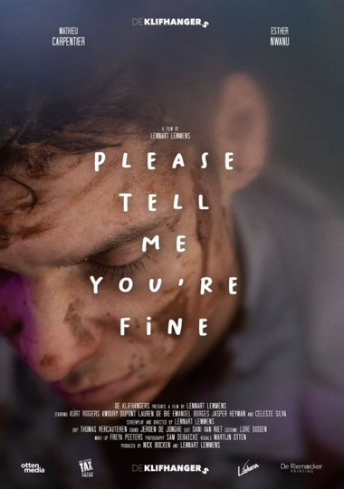 Please tell me youre fine Poster