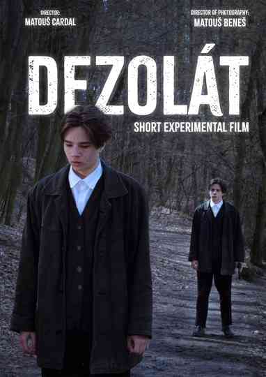 Dezolát Poster