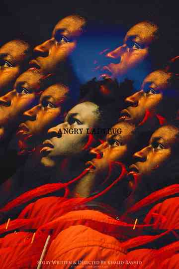 Angry Ladybug Poster