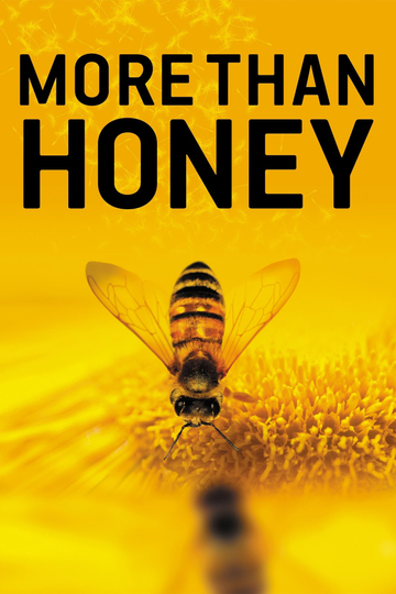 More Than Honey Poster