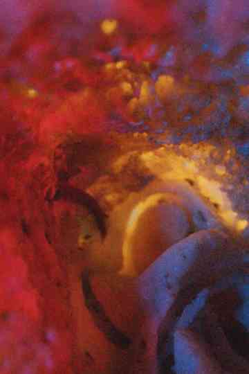 Louis and Languages poster