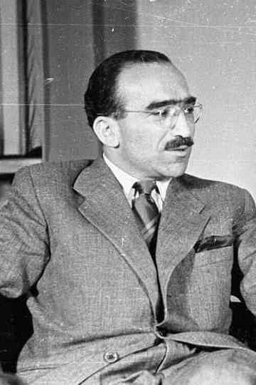 Kochany i nienawidzony. Dramat życia i śmierci twórcy "Krzyżaków" Poster