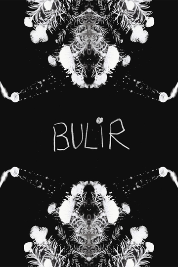 BULIR Poster