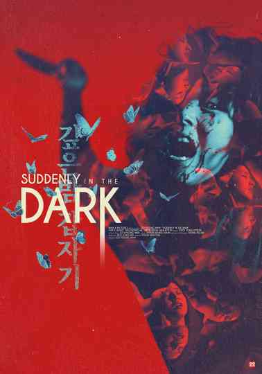 Suddenly in the Dark Poster