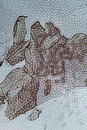 Crushed Between Ocean and Sky Poster