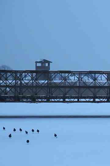 Ejercicio 3: Documental Poster