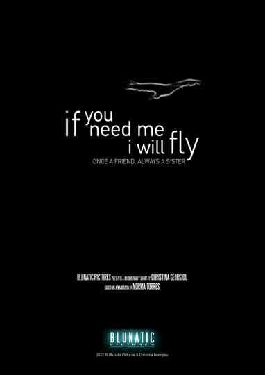 If You Need Me, I Will Fly Poster