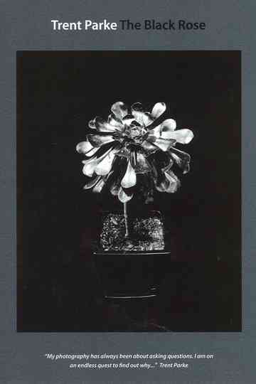 Trent Parke: The Black Rose Poster