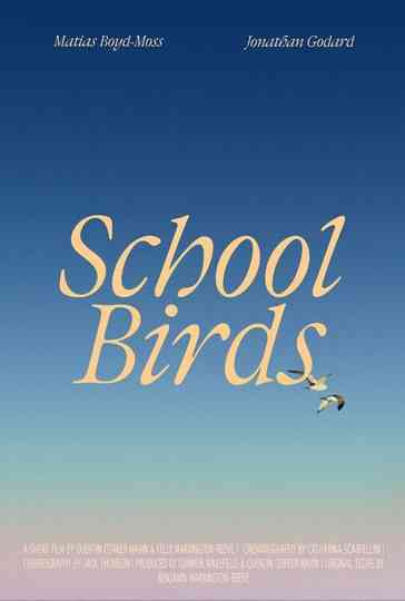 School Birds Poster