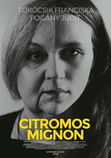 Citromos Mignon Poster