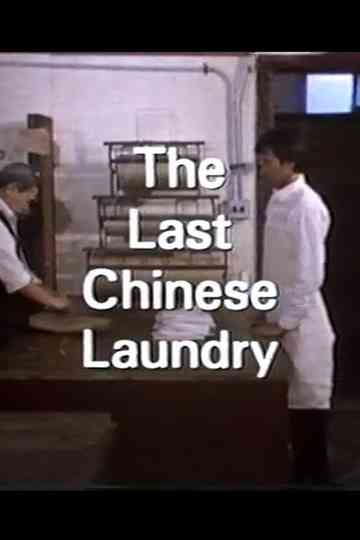 The Last Chinese Laundry Poster