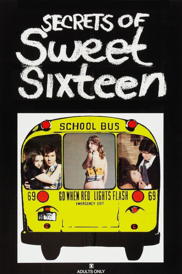 Secrets of Sweet Sixteen Poster