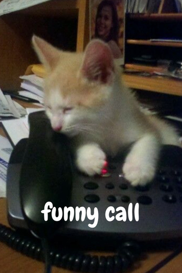 funniest call Poster