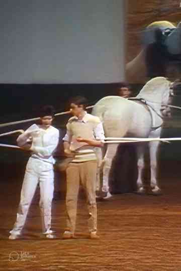 Kaiserschnitt Poster