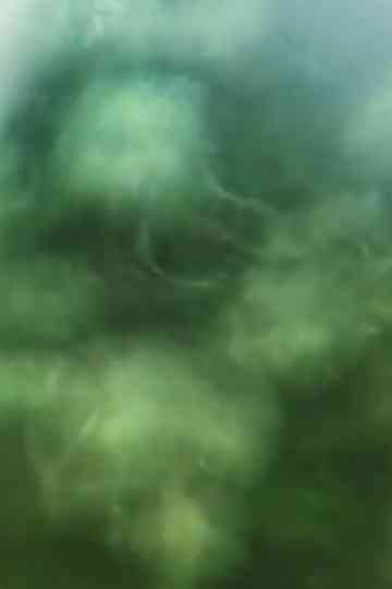 Vision (abstract art) Poster