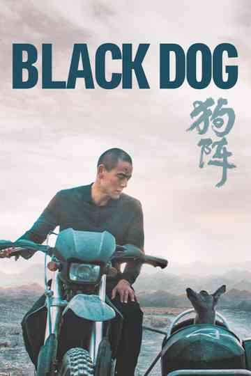 Black Dog Poster
