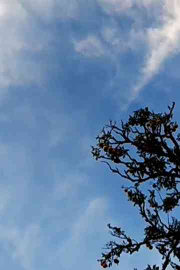 breathe exhale inhale Poster