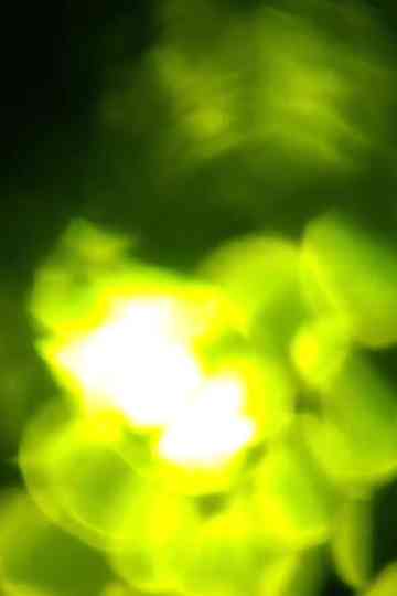 Oh, I lie now and then... Poster