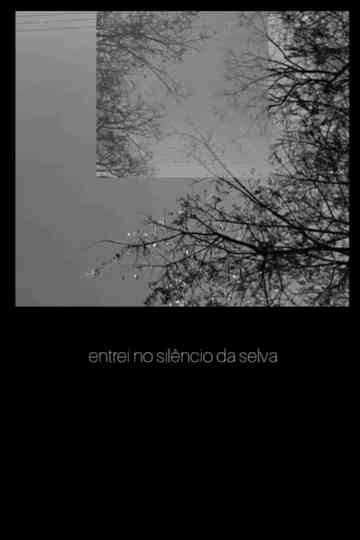 todo dia vou e não volto... Poster