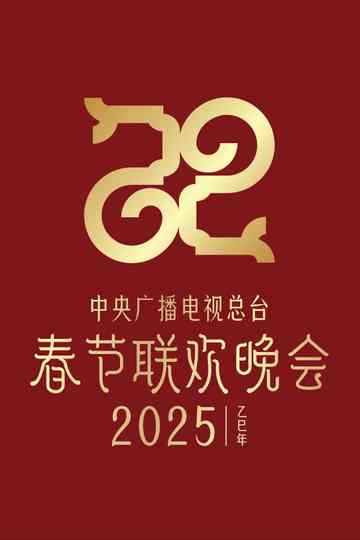 中央广播电视总台春节联欢晚会（系列） Poster