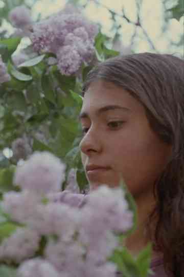 A Little Summermusik Poster