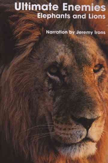 Ultimate Enemies: Elephants and Lions Poster