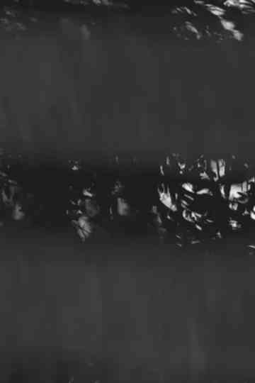 projection... Poster