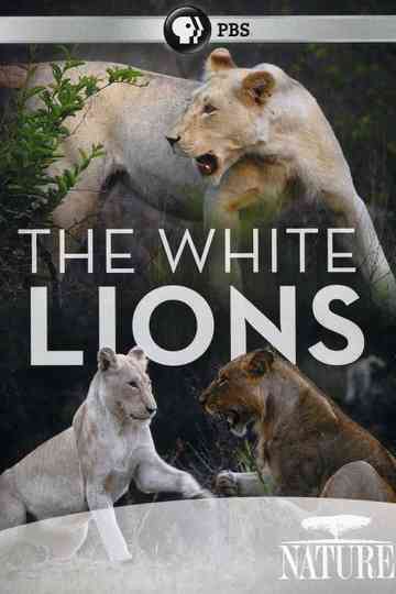 The White Lions Poster