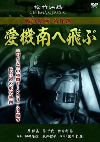 Our Planes Fly South