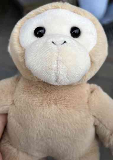 Mitchel Monkey Poster