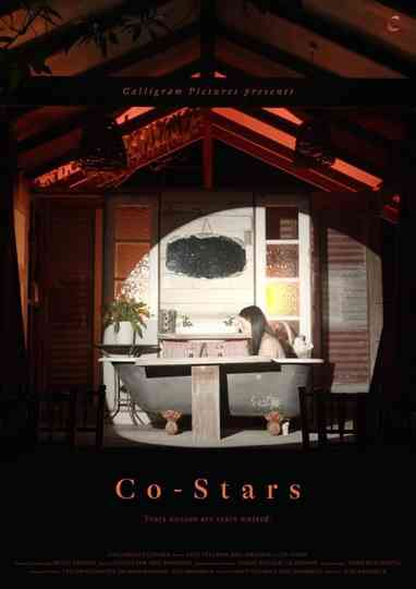 Co-Stars Poster