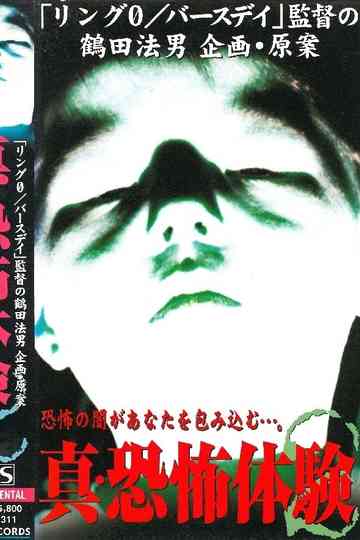 True Horror Experience 2 Poster