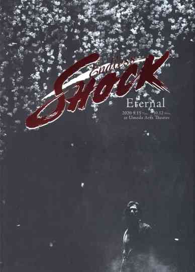 Endless SHOCK 20th Anniversary -Eternal- Poster