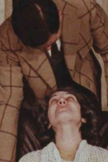 The Artist in Wales Poster