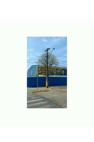 we are / everything so much / everything kind of together Poster