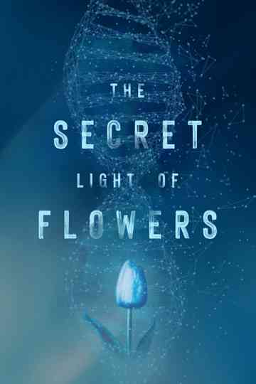 The Secret Light of Flowers Poster