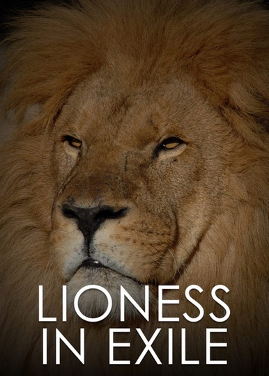 Lioness in Exile Poster