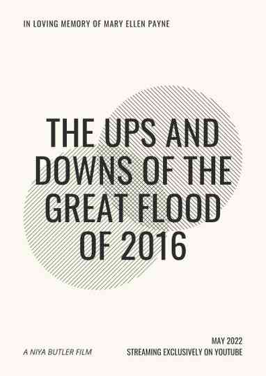 The Ups and Downs of the Great Flood of 2016 Poster