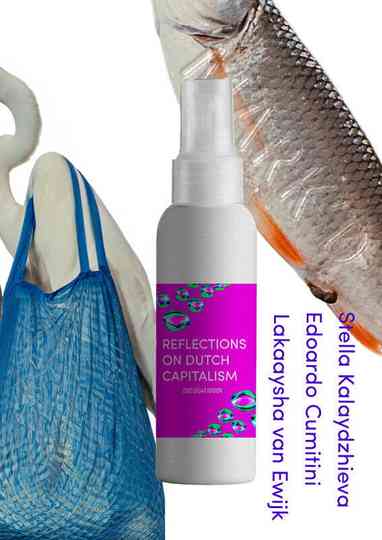 Reflections on Dutch Capitalism; Zero Sugar version Poster