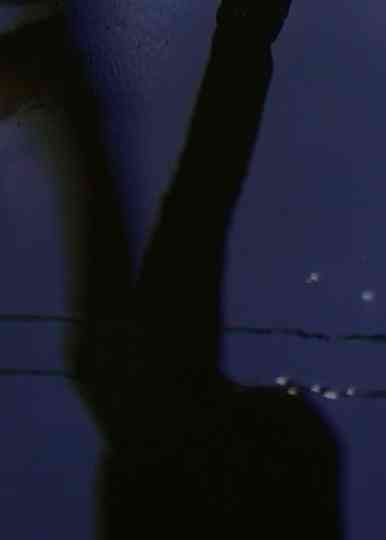 [W I N G S O F L O V E] Poster