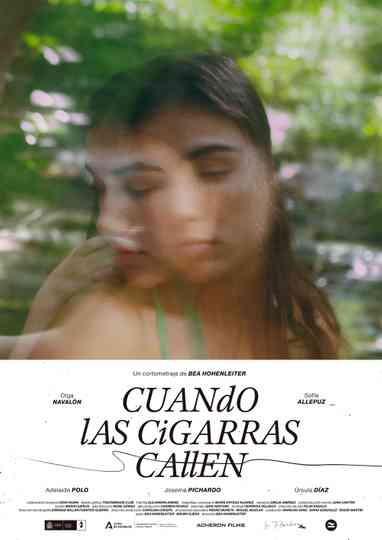 When the cicades fall silent Poster