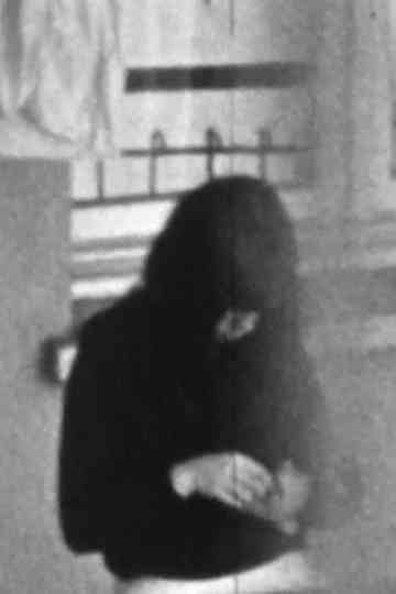 Fractions of Temporary Periods (I parte) ovvero Plans-séquences per una bambina Poster