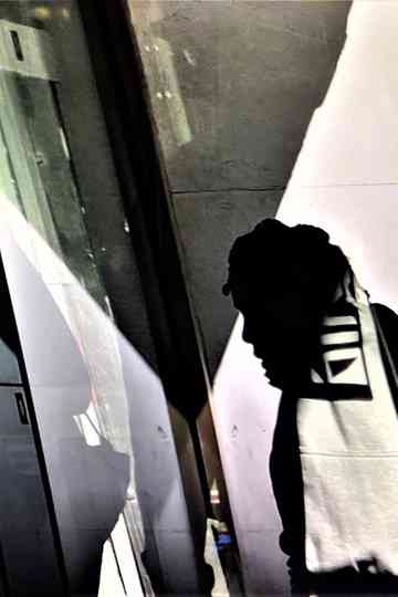 Pedestrian Activities Poster