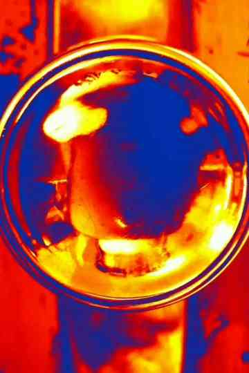 did you see it!? Poster