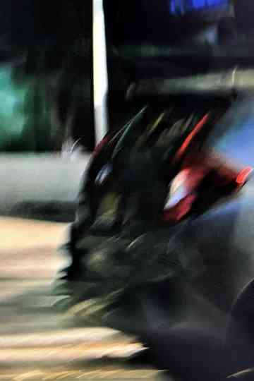 Carroll Gardens Poster