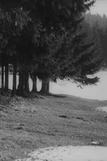 Ostern in Schwedt Poster