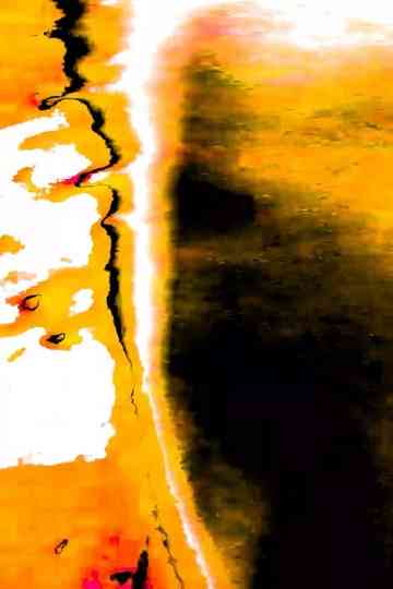 Pulmão Vagalume Poster